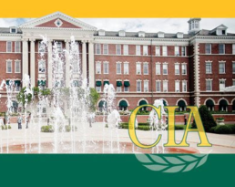 Culinary Institute